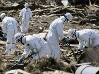 sugarveszely